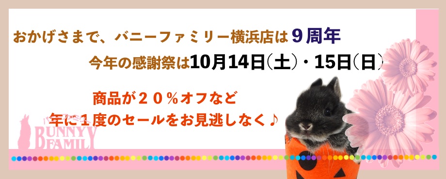 バニーファミリー横浜 うさぎ専門店/うさぎブリーダー/うさぎ用品通販/うさぎホテルトップ画像