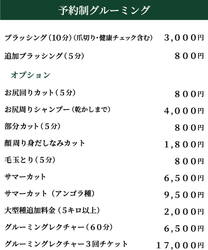 グルーミング バニーファミリー横浜 うさぎ専門店 うさぎブリーダー うさぎ用品通販 うさぎホテル グルーミング バニーファミリー横浜 うさぎ専門店 うさぎブリーダー うさぎ用品通販 うさぎホテル