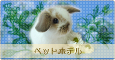 ペットホテル