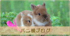 バニ横ブログ