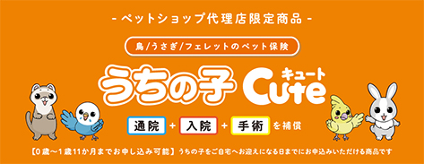 ペット保険・動物保険はアイペット