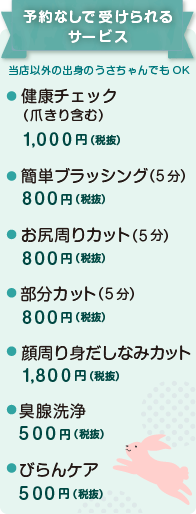 うさぎの健康チェック
