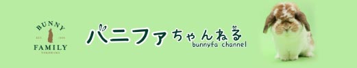 バニーファミリー横浜 バニファチャンネル