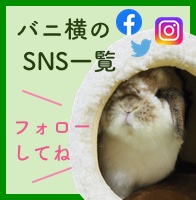 SNSへのリンク