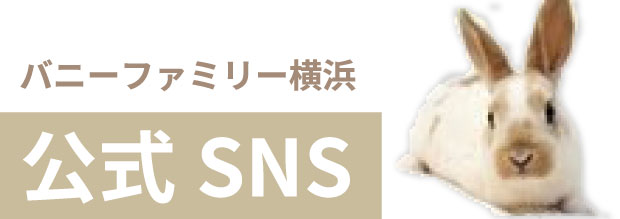 バニーファミリー横浜 公式SNS