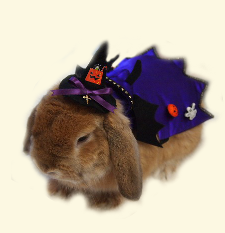 ハロウィン２.png