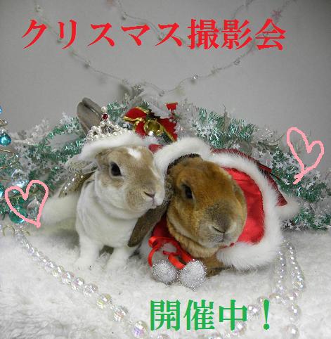 クリスマス６.jpg