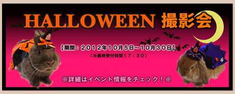 ハロウィン２０１２.jpg