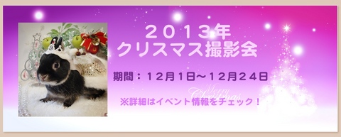 2013クリスマス撮影会.jpg