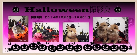 ２０１４ハロウィン.jpg