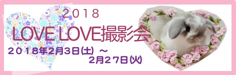 中央バナ２０１５ラブラブ撮影会.jpg