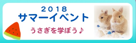 中央バナ2018サマーイベント.jpg