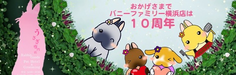 中央バナ１０周年top.jpg