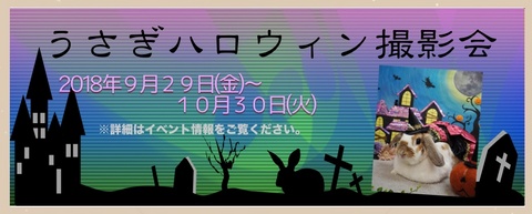 ２０１８ハロウィン.jpg