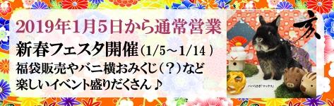 中央バナ2018サマーイベント.jpg