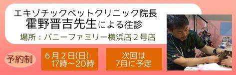 中央バナ２０１９霍野先生往診6月.jpg