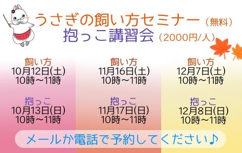 中央バナ2019飼い方抱っこ.jpg