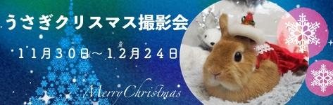 中央バナxmas2019.jpg