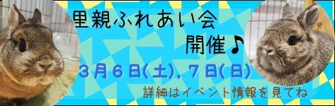 中央バナ里親会202102.jpg