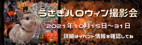 中央バナハロウィン2021.jpg