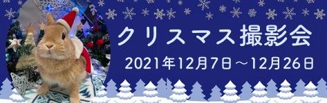 中央バナクリスマス撮影会.jpg