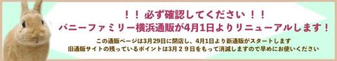 通販2022新通販サイト案内01.jpg