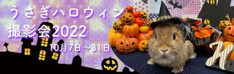 中央バナ2022ハロウィンバニ.jpg