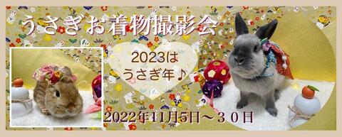 お着物撮影会トップ2022.jpg