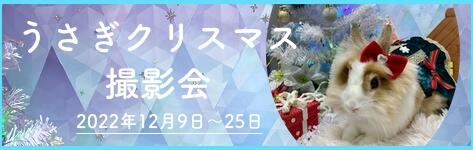 中央バナ2022クリスマス撮影会.jpg