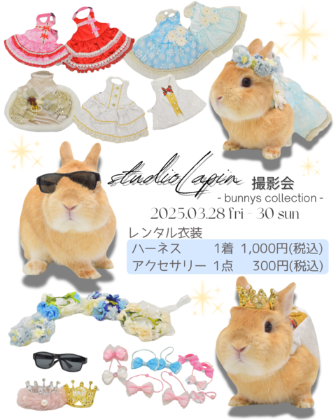 ラパン.png