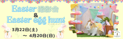 イースターバナー小.png