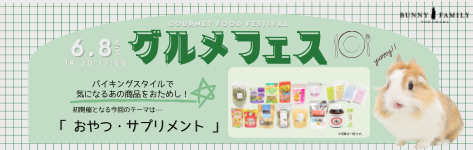 グルメフェス小バナー.png