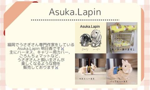 Asuka.Lapin.jpeg