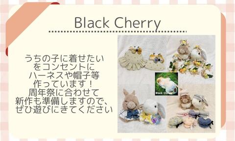 BlackCherry.jpeg