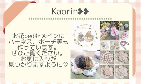Kaorin.jpeg