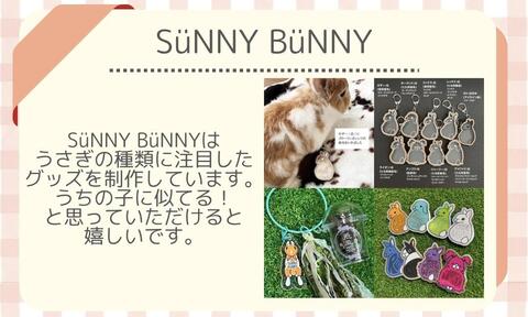 SuNNY BuNNY.jpeg