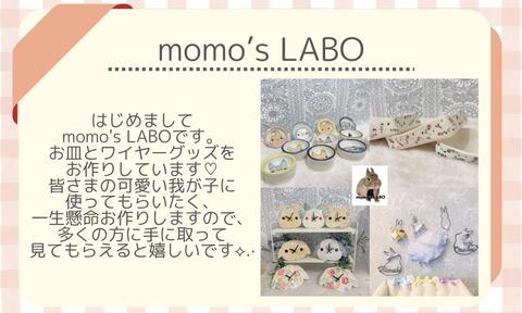 momo'sLABO.jpeg