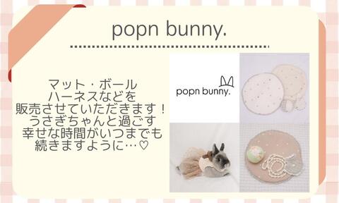 popn bunny.jpeg