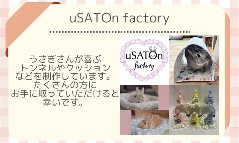 uSATOn factory.jpeg