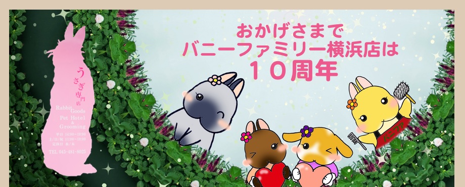 バニーファミリー横浜 うさぎ専門店/うさぎブリーダー/うさぎ用品通販/うさぎホテルトップ画像4