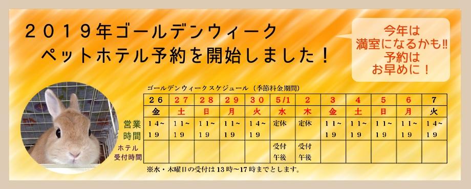 バニーファミリー横浜 うさぎ専門店/うさぎブリーダー/うさぎ用品通販/うさぎホテルトップ画像3