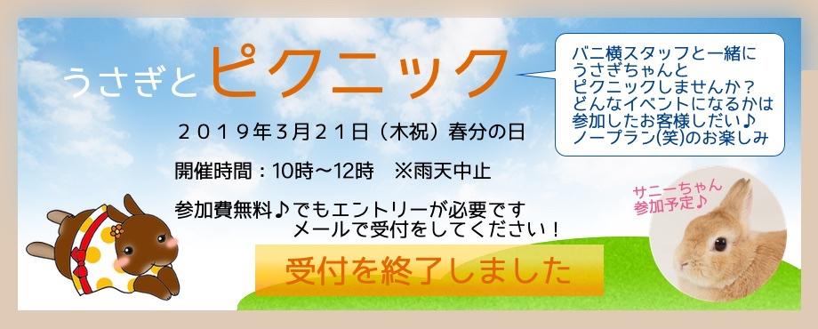 バニーファミリー横浜 うさぎ専門店/うさぎブリーダー/うさぎ用品通販/うさぎホテルトップ画像4