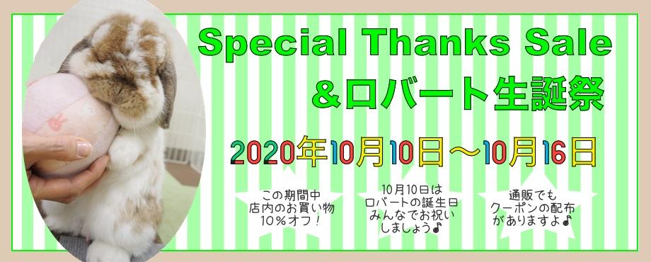 バニーファミリー横浜 うさぎ専門店/うさぎブリーダー/うさぎ用品通販/うさぎホテルトップ画像2