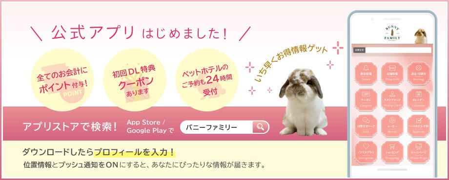 バニーファミリー横浜 うさぎ専門店/うさぎブリーダー/うさぎ用品通販/うさぎホテルトップ画像4