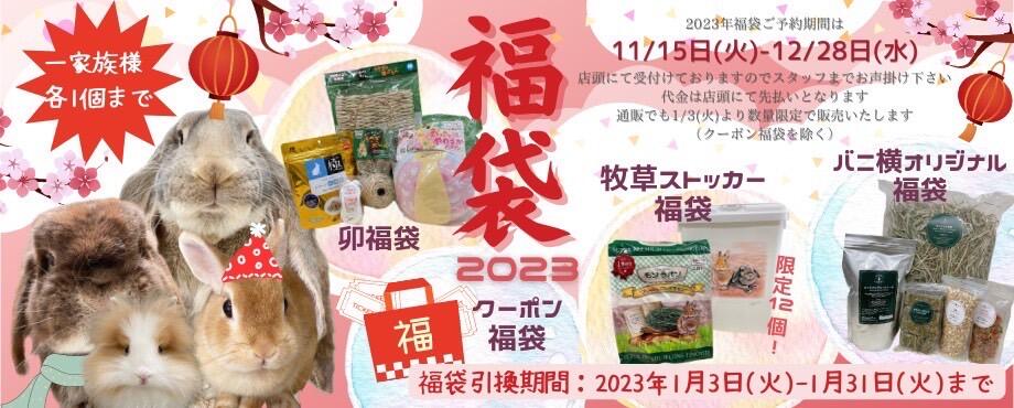 バニーファミリー横浜 うさぎ専門店/うさぎブリーダー/うさぎ用品通販/うさぎホテルトップ画像3