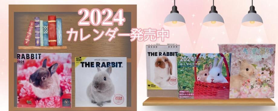 バニーファミリー横浜 うさぎ専門店/うさぎブリーダー/うさぎ用品通販/うさぎホテルトップ画像3