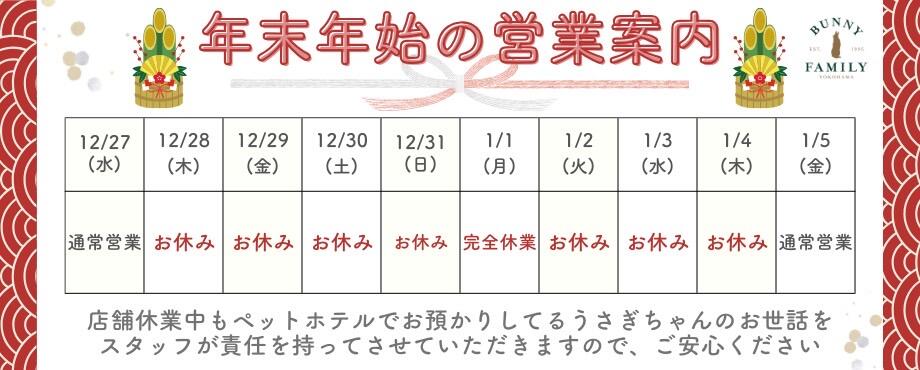 バニーファミリー横浜 うさぎ専門店/うさぎブリーダー/うさぎ用品通販/うさぎホテルトップ画像2