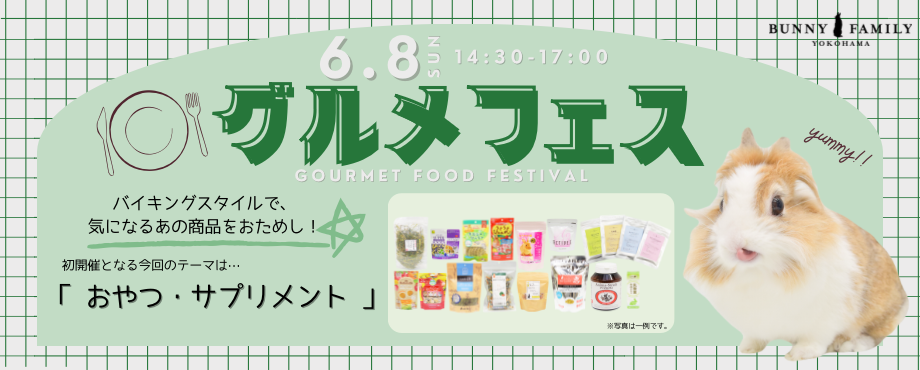 バニーファミリー横浜 うさぎ専門店/うさぎブリーダー/うさぎ用品通販/うさぎホテルトップ画像3