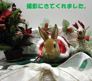 2009 クリスマス撮影会