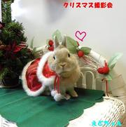 2009 クリスマス撮影会